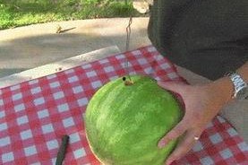 吃瓜汇总大全,盘点娱乐圈热点事件，揭秘幕后真相